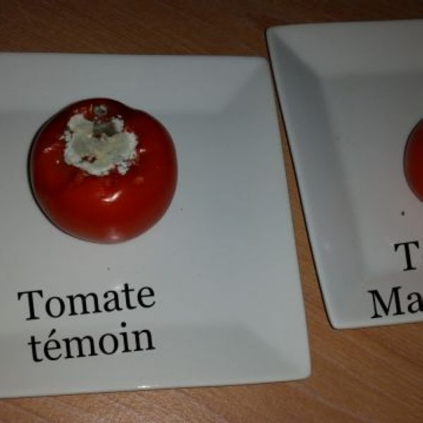 Magnétisme sur tomate